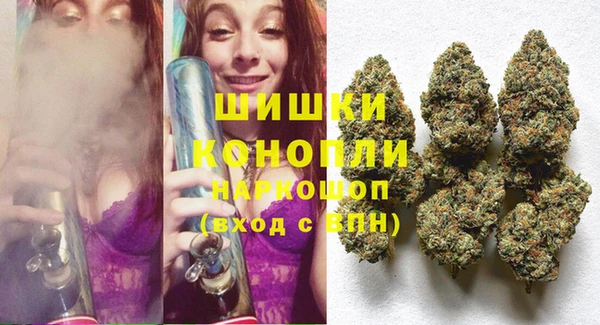 сатива Аркадак