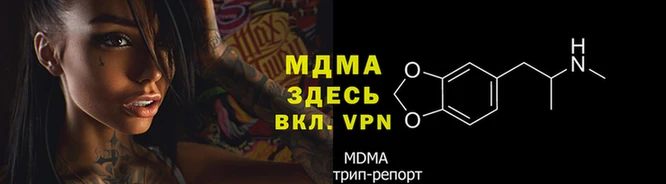 сатива Аркадак
