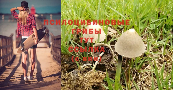 mdpv Пролетарск