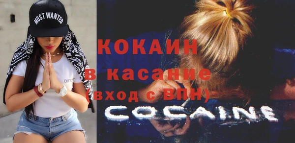 сатива Аркадак