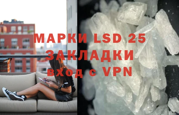 сатива Аркадак