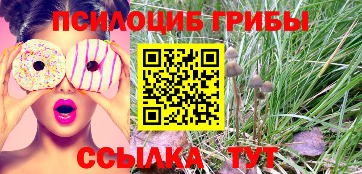купить закладку  Галлюциногенные грибы MAGIC MUSHROOMS  Вход с VPN  Унеча  Псилоцибиновые грибы Psilocybe 