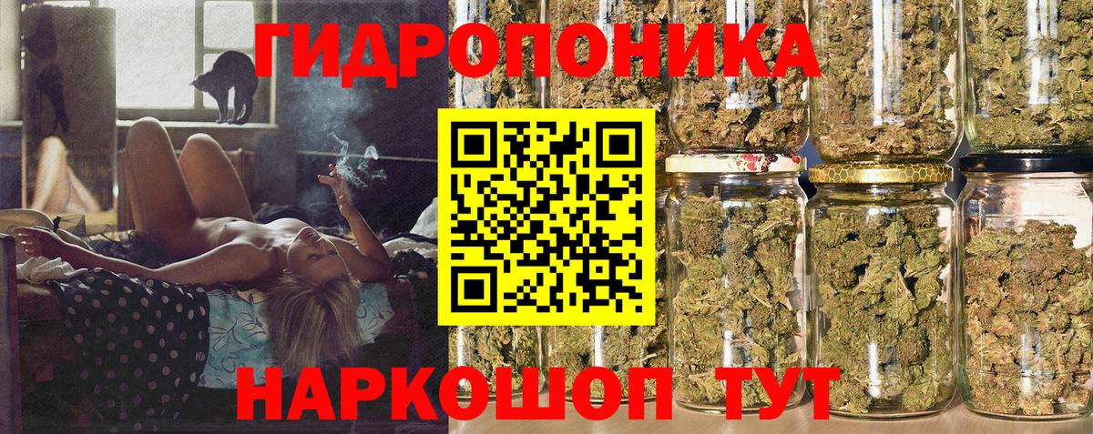 Каннабис семена  Вход с VPN  Марихуана Bruce Banner  МАРИХУАНА Bruce Banner  Унеча 